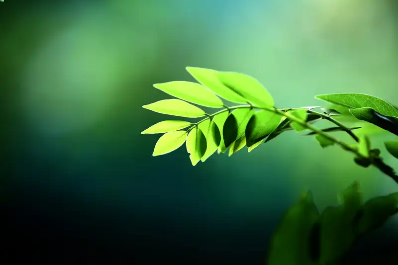 Sostenibilità ambientale e regali aziendali